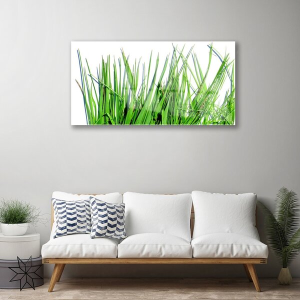 Quadro di vetro Erba per il muro 100x50 cm 2 appendini