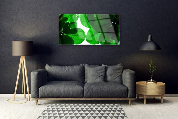 Quadro vetro Foglie sul muro 100x50 cm 2 appendini