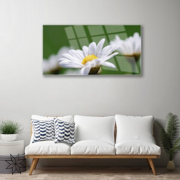 Quadro su vetro Margherita sul muro 100x50 cm 2 appendini