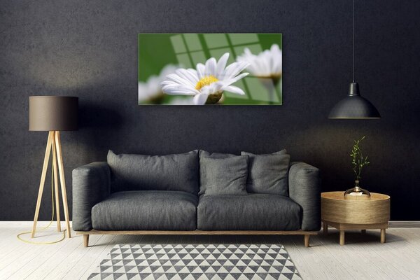 Quadro su vetro Margherita sul muro 100x50 cm 2 appendini