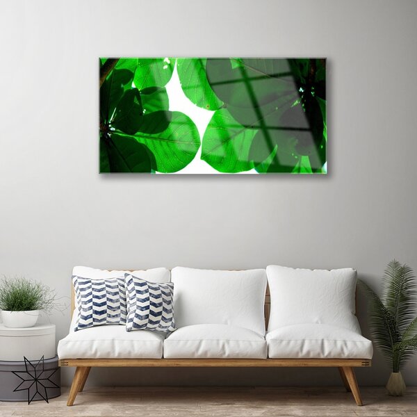 Quadro vetro Foglie sul muro 100x50 cm 2 appendini