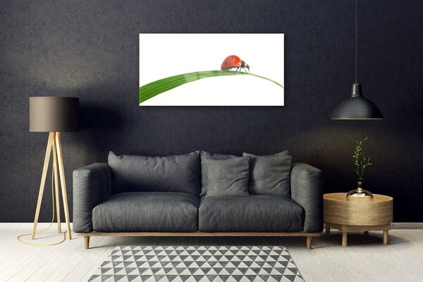 Quadro in vetro Biedronka Natura 100x50 cm 2 appendini