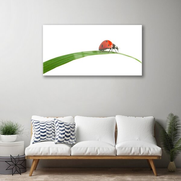 Quadro in vetro Biedronka Natura 100x50 cm 2 appendini