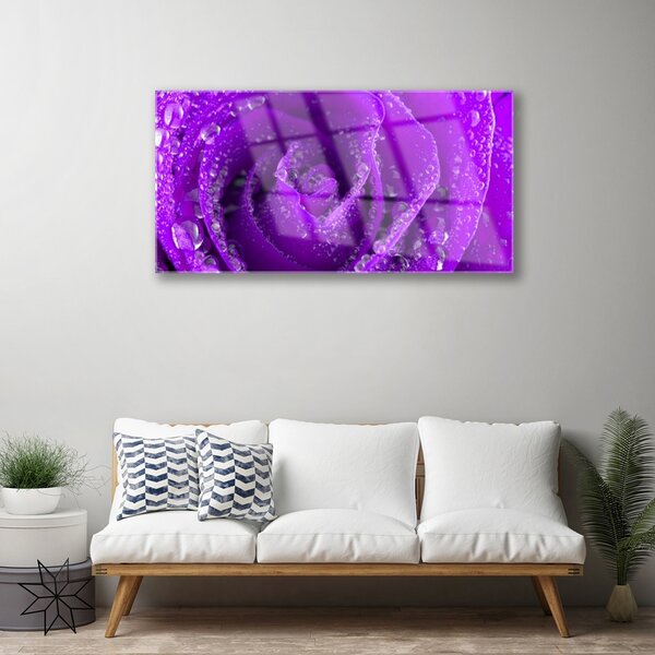 Quadro in vetro Pianta di fiori di rosa 100x50 cm 2 appendini