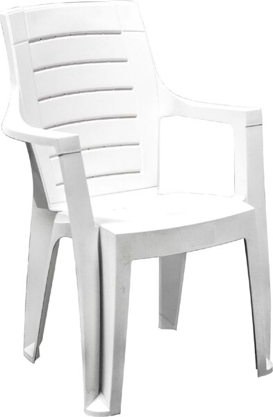 Dimaplast2000 Sedia per Esterni Impilabile in Resina 60x56x89h cm colore Bianco - Cleopatra