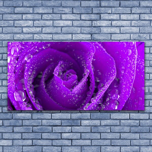 Quadro su tela Pianta di fiori di rosa 100x50 cm