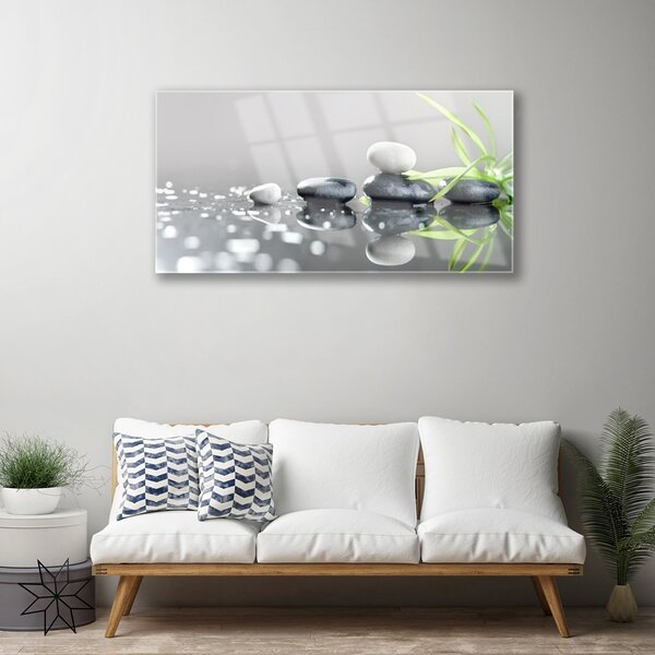 Quadro vetro Pietre termali in erba Zen 100x50 cm 2 appendini