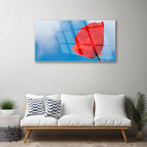 Quadro su vetro Muro di tulipani 100x50 cm 2 appendini