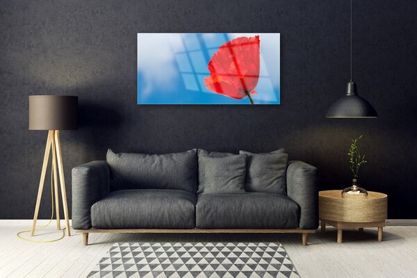 Quadro su vetro Muro di tulipani 100x50 cm 2 appendini