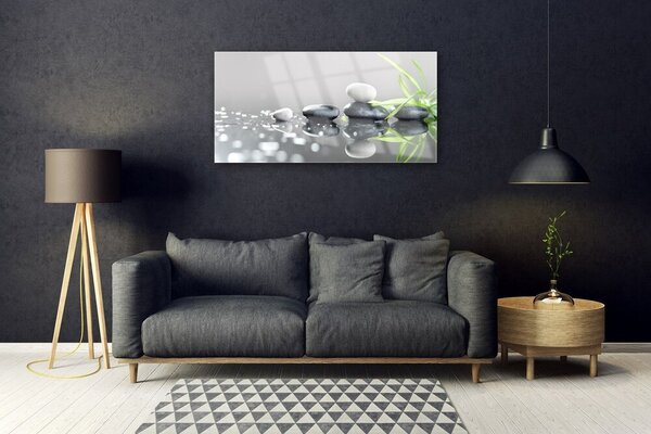 Quadro vetro Pietre termali in erba Zen 100x50 cm 2 appendini