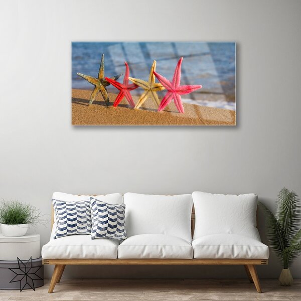 Quadro su vetro Arte della stella marina in spiaggia 100x50 cm 2 appendini