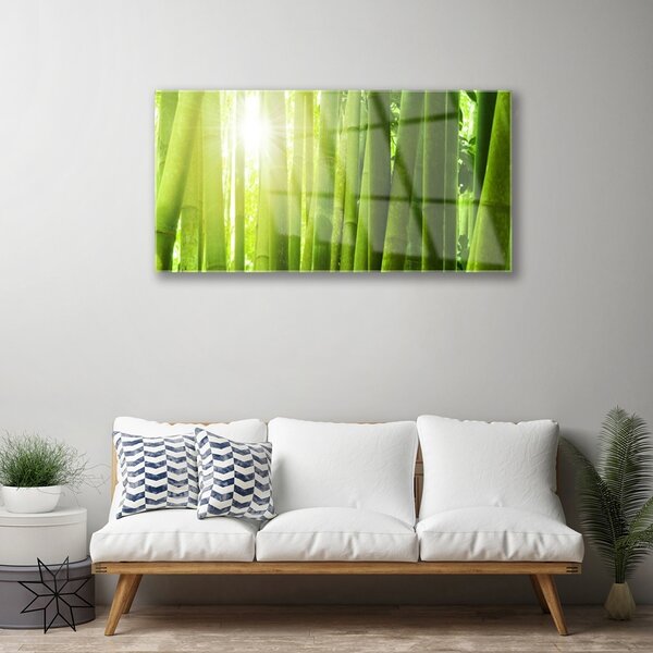 Quadro vetro Pianta di bambù 100x50 cm 2 appendini
