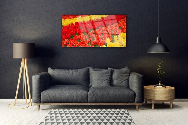 Quadro vetro Fiori di tulipani 100x50 cm 2 appendini