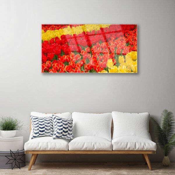 Quadro vetro Fiori di tulipani 100x50 cm 2 appendini