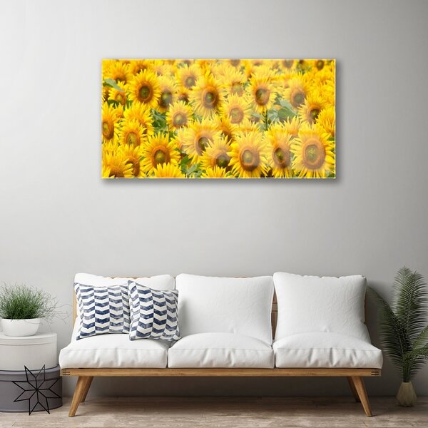 Quadro in vetro Pianta di girasole Natura 100x50 cm 2 appendini