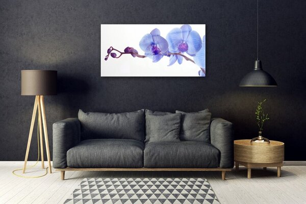 Quadro in vetro Pianta di fiori 100x50 cm 2 appendini