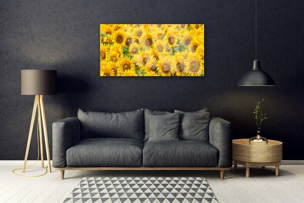 Quadro in vetro Pianta di girasole Natura 100x50 cm 2 appendini