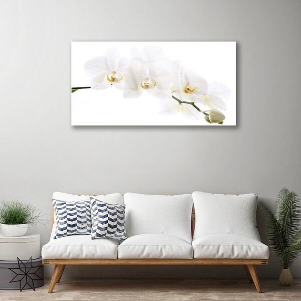 Quadro su vetro Fiori di orchidea 100x50 cm 2 appendini