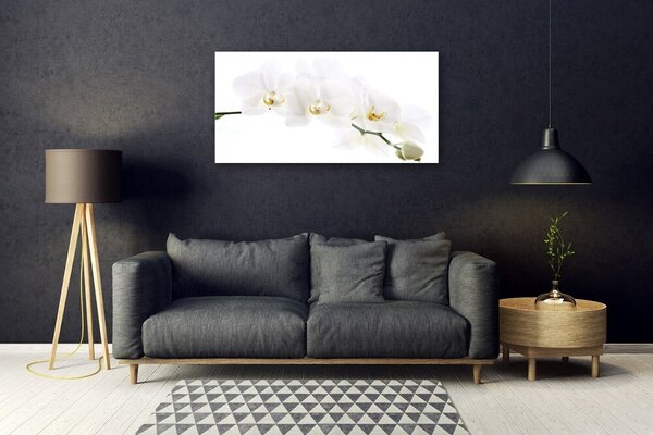 Quadro su vetro Fiori di orchidea 100x50 cm 2 appendini