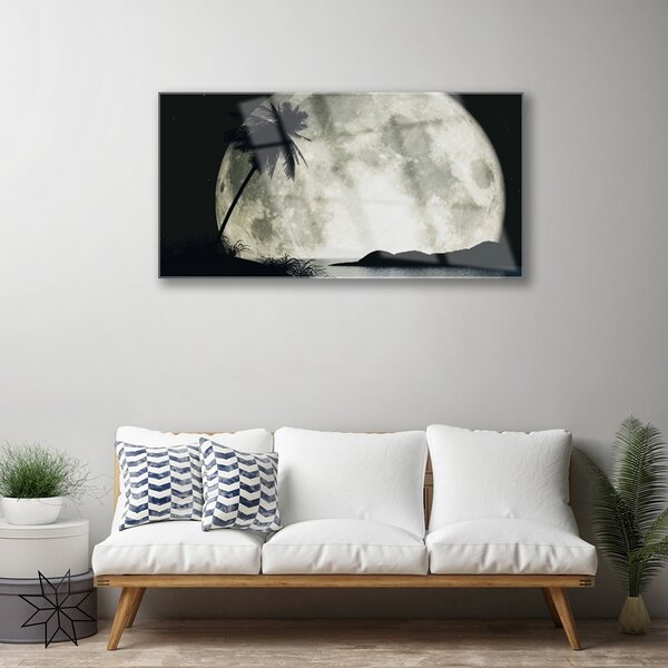 Quadro in vetro Luna notturna Palm Landscape 100x50 cm 2 appendini