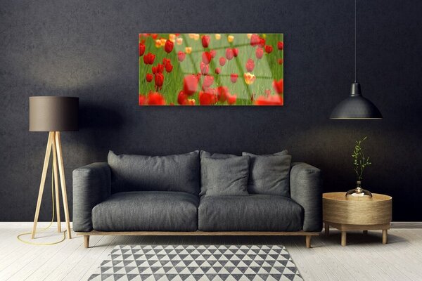 Quadro in vetro Pianta di tulipani 100x50 cm 2 appendini
