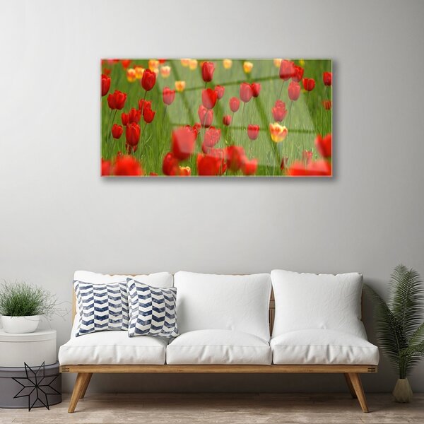 Quadro in vetro Pianta di tulipani 100x50 cm 2 appendini