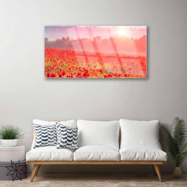 Quadro vetro Prato Fiori Natura Pianta 100x50 cm 2 appendini