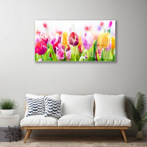 Quadro su vetro Fiori di tulipani 100x50 cm 2 appendini