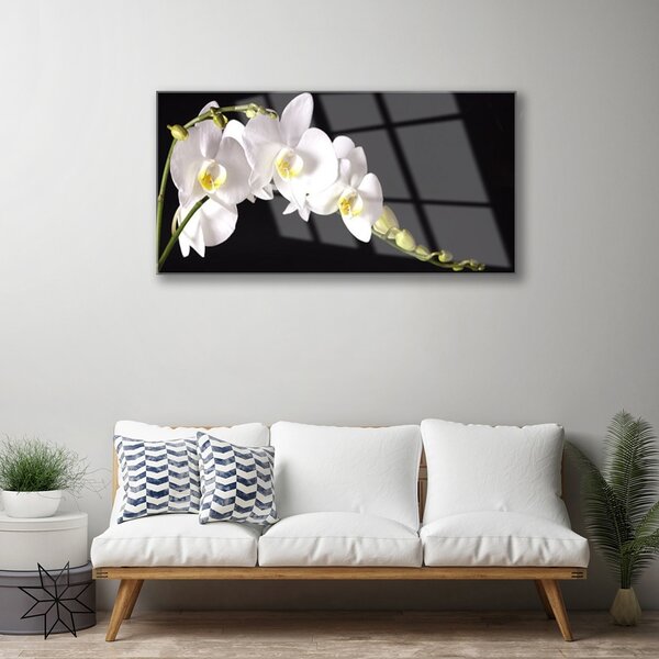 Quadro vetro Pianta di fiori 100x50 cm 2 appendini