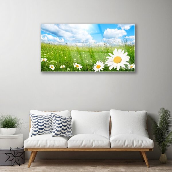 Quadro di vetro Margherita Erba Natura 100x50 cm 2 appendini