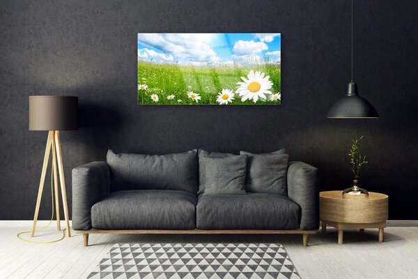 Quadro di vetro Margherita Erba Natura 100x50 cm 2 appendini