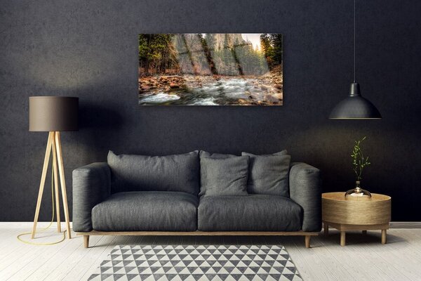 Quadro di vetro Lago Forestale Natura Acqua 100x50 cm 2 appendini