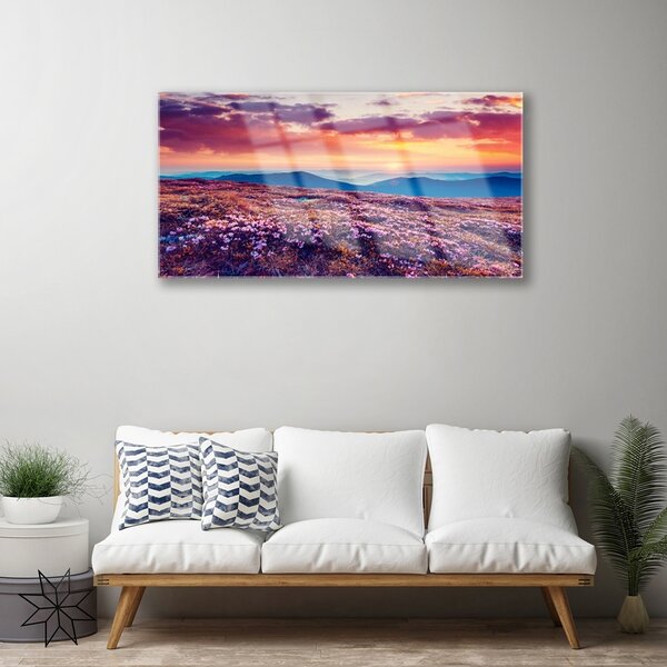 Quadro in vetro Prato Montagna Natura Fiori 100x50 cm 2 appendini
