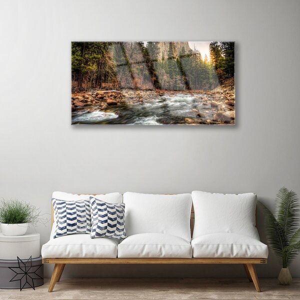 Quadro di vetro Lago Forestale Natura Acqua 100x50 cm 2 appendini