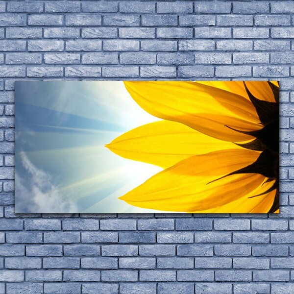 Quadro su tela Petali di piante 100x50 cm