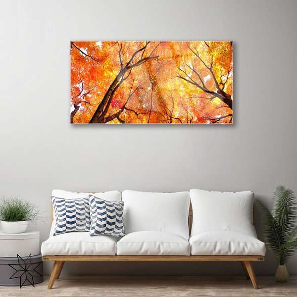 Quadro in vetro Alberi della natura 100x50 cm 2 appendini