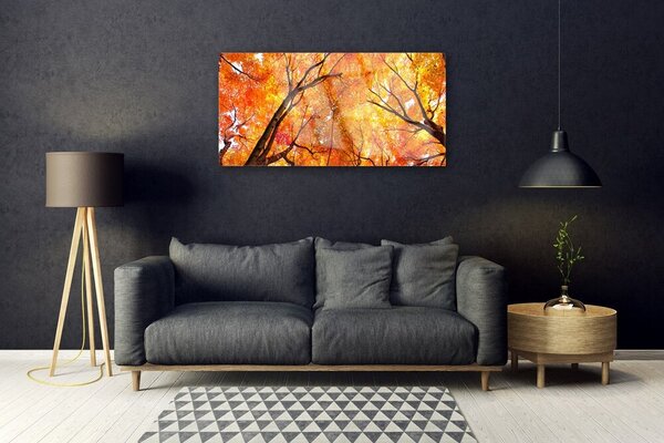 Quadro in vetro Alberi della natura 100x50 cm 2 appendini
