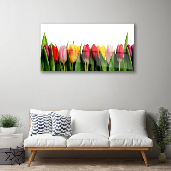 Quadro in vetro Pianta di tulipani 100x50 cm 2 appendini
