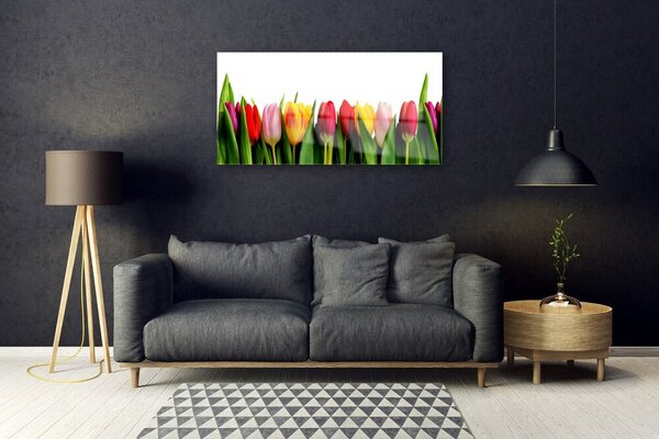 Quadro in vetro Pianta di tulipani 100x50 cm 2 appendini