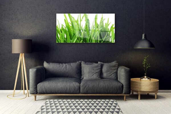 Quadro di vetro Pianta d'erba 100x50 cm 2 appendini
