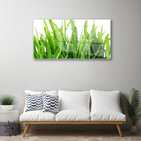 Quadro di vetro Pianta d'erba 100x50 cm 2 appendini