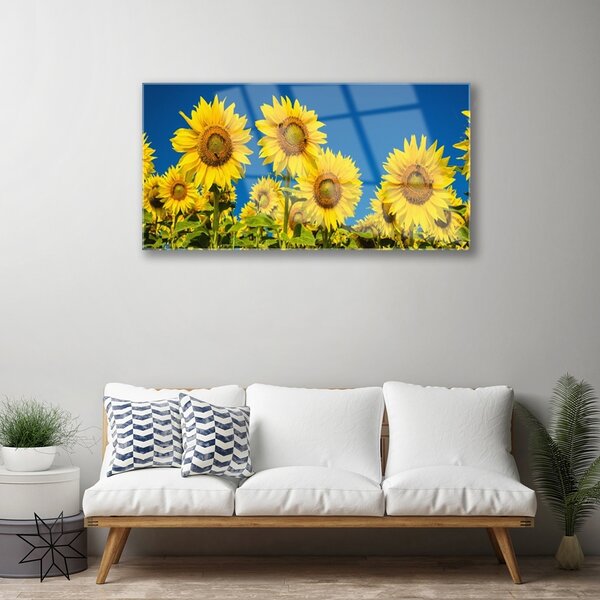 Quadro in vetro Pianta di girasoli 100x50 cm 2 appendini