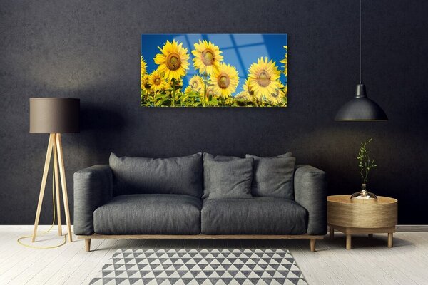 Quadro in vetro Pianta di girasoli 100x50 cm 2 appendini