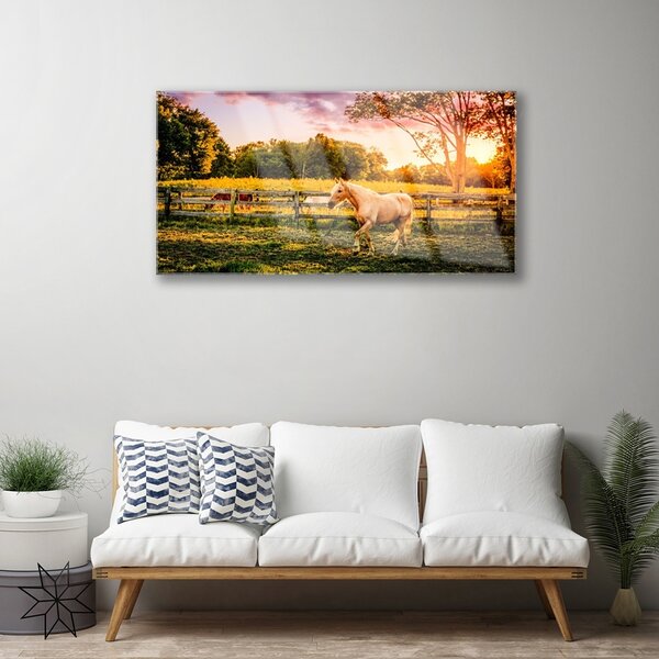 Quadro in vetro Cavallo Prato Animali Natura 100x50 cm 2 appendini