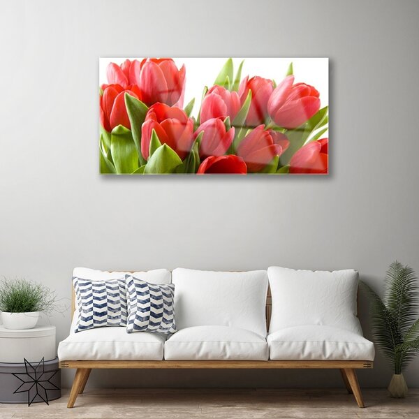 Quadro in vetro Tulipani Fiori Pianta 100x50 cm 2 appendini