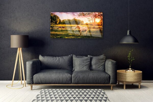 Quadro in vetro Cavallo Prato Animali Natura 100x50 cm 2 appendini