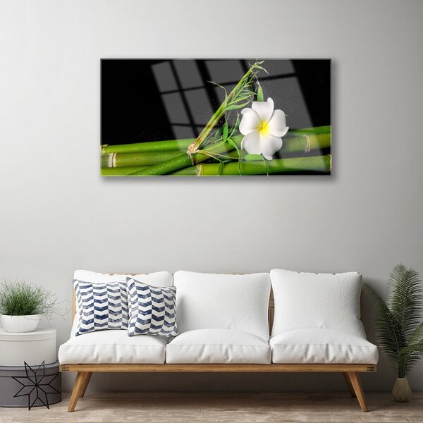 Quadro su vetro Pianta di fiori di bambù 100x50 cm 2 appendini