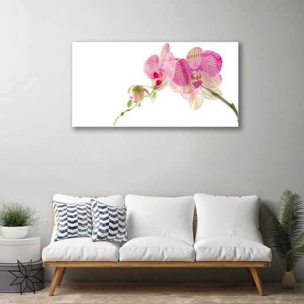 Quadro in vetro Pianta di fiori 100x50 cm 2 appendini