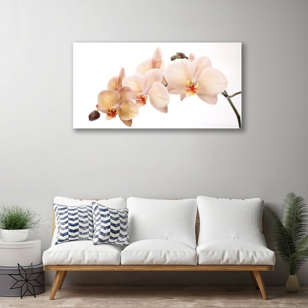 Quadro vetro Pianta di fiori 100x50 cm 2 appendini