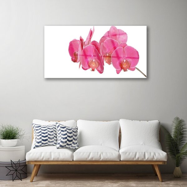 Quadro in vetro Pianta di fiori 100x50 cm 2 appendini